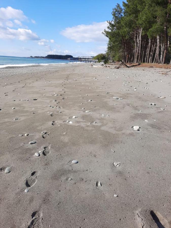 פיזונדה Гостевой Дом La Mer מראה חיצוני תמונה