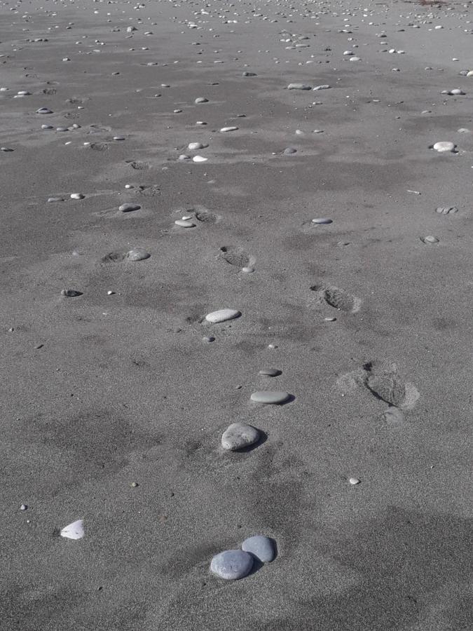 פיזונדה Гостевой Дом La Mer מראה חיצוני תמונה